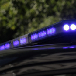 В машине обнаружили тела супружеской пары