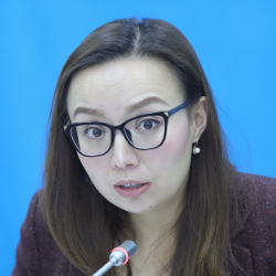 Айсулуу Мамашова: «Патент жокко чыгарылса «Дордой» базарынын ишкерлери кандай иштешет?»