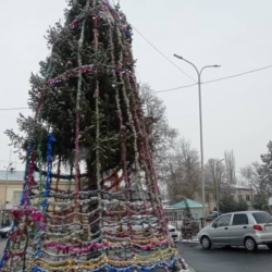 ВИДЕО - Өзгөндө талкуу жараткан балаты боюнча мэр үн катты