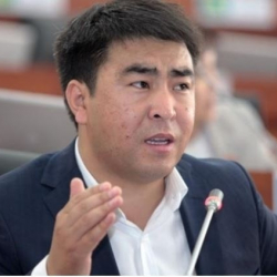 Жанар Акаев депутат болот