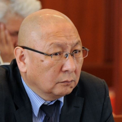 Эмилбек Каптагаев: «Жогорку Кеңештин деңгээлин бир түрмөк даарат кагазы эле көрсөтүп койду»