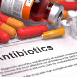 Антибиотиктерди өз алдынча ичүү өлүмгө алып келиши мүмкүн