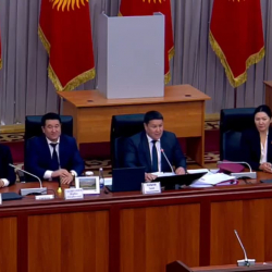 Парламент комитеттердин төрага орун басарларын шайлады