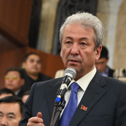 Төлөгөн Келдибаев: «Адахан Мадумаровдун айткан сыны дагы, анын суракка чакырылышы да аша чапкандык»