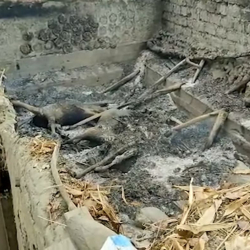 Баткен: Жарандык коргонуу комиссиясы келтирилген чыгымдарды эсептөөдө