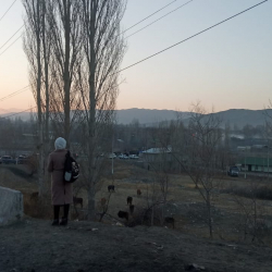 Жол куруу каралган. Тажикстандын УКМК башчысы айткан протоколдогу маалыматтар