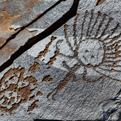 Чолпон-Атада саймалуу таштар жайгашкан аймакта курулуш жүрүп жатканы айтылды