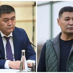 Камчыбек Ташиев иниси депутат Шайирбек Ташиев тууралуу пикирин айтты