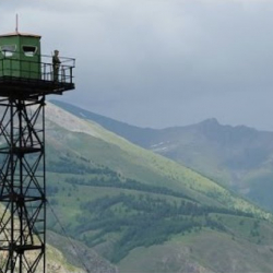 Чек арадагы чыр тууралуу макала боюнча кылмыш иши козголду