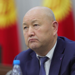 Жеңиш Разаков жерди берсе, элибизди аттырса, эмнеге жоопкерчилиги каралбайт?