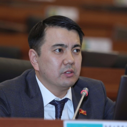 Марлен Маматалиев: «Салык Кодексин шыр эле ишке киргизип жибербей этап менен өтсөк болмок»