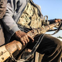 Нигерияда ISWAP уюмунун 25 террорчусу жок кылынды