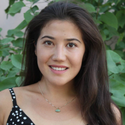 Жээнбековдун жардамчысы чек араны мыйзамсыз кесип өткөн деп айыпталууда