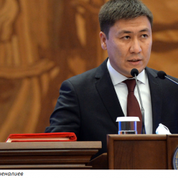 Министр Алмаз Бейшеналиевге 300 долларды ким таштап кеткен?