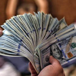 Доллар эмнеге көтөрүлгөнү айтылды