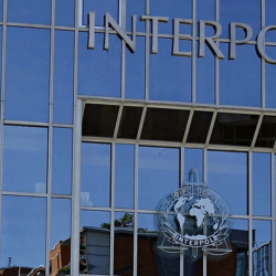 Интерпол эл аралык издөөдө жүргөн 45 адамды кармады