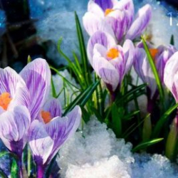 Майрамга карата эс алуу күнү такталды