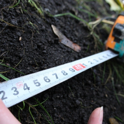 Бакай-Атада мыйзамсыз жеке менчикке берилген жер тилке мамлекетке кайтарылды