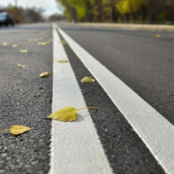 Бишкекте эки көчө убактылуу жабылат