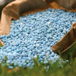 Жер семирткич кымбаттап, дыйкандарга оор маселе жаратууда