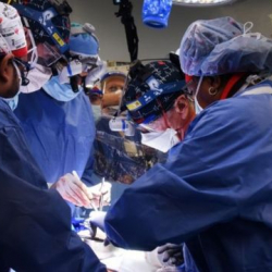 АКШда чочконун жүрөгүн койдурган бейтап каза болду