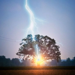 Өзбекстанда 3 кишиге чагылган тийип, 1 адам каза болду