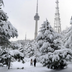Түркиянын Сивас провинциясында аномалдык суук болууда