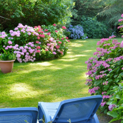 Жаз айы жаңы келгенде бакчага кантип кам көрөбүз?