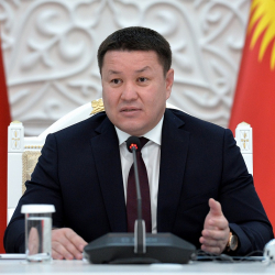 Талант Мамытов диплому жасалма делген депутаттардын атын атоону талап кылды