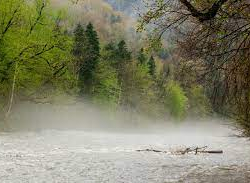 ӨКМ шашылыш билдирүү таратты: Дарыялардагы суунун деңгээли көтөрүлөт