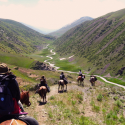 Уставдык капиталы 1 млрд сомдук 