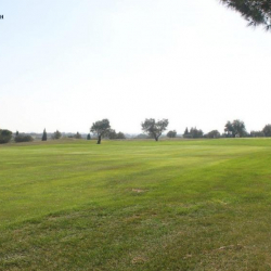 Ысык-Атада 3 млн 870 миң сомго бааланган 9 жер тилкеси мамлекетке кайтарылды