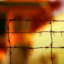 ООН: Главные новости дня | четверг