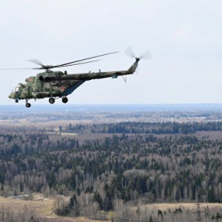 Тажикстандан КРге тик учмаларды мыйзамсыз алып кирген ишкана аныкталды