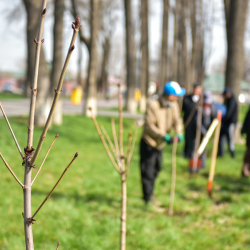 Министрликтен жаңы акция жарыяланды