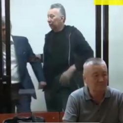 Рина Приживойт: «Больной или просто нервный?»