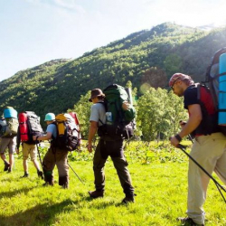Шенген жана Америка визасы бар туристтерге ТИМ визасыз тартип киргизүүнү карайт