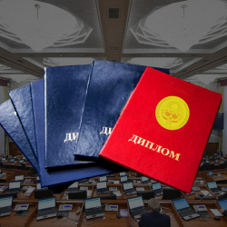 Жасалма диплом алууга шектелип жаткан эки депутаттын аты-жөнү аталды