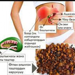 Боор ооруларынын алдын алуу