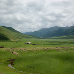 Беш жүз миң гектар жайытты ижарага берүү мыйзам долбоору артка кайтарылды