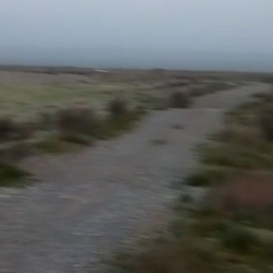 Тажик тарап мезгил-мезгили менен кыргыз аскерлерине ок чыгарып жатат - Чек ара кызматы