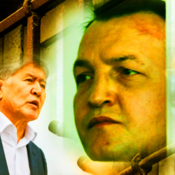 ВИДЕО –  Никто из примазавшихся к власти ни за что не несёт ответственности