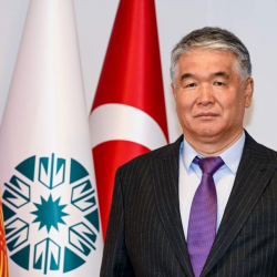 Түрк дүйнөсү, ТҮРКСОЙ жана Султан Раев