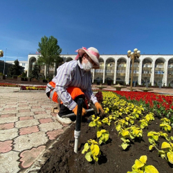 Вице-мэрдин суранычынан кийин “Тазалыктын” кызматкерлери ишке чыкты