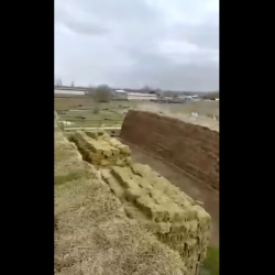 ВИДЕО - “Вот кто создал ажиотаж вокруг цен на сено!” В Кыргызстане сняли на видео огромный склад сельхозпродукции