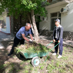 ФОТО - Чиновники взяли в руки веники. В Бишкекском субботнике приняли участие более 13 тысяч человек