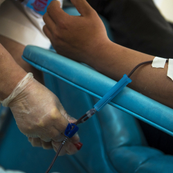 Балыкчыда аскерде ок тийген жоокердин абалы айтылды