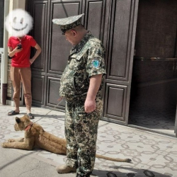 ФОТО - Лев в одном из домов под Ташкентом укусил 3-х летнего ребенка и его мать