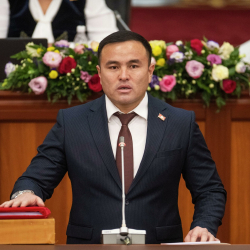 Алишер Козуев: 