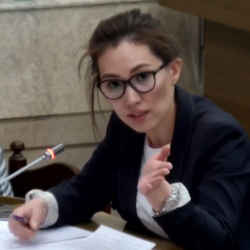 Депутат Жогорку Кенеша пожаловалась на «гармошки»